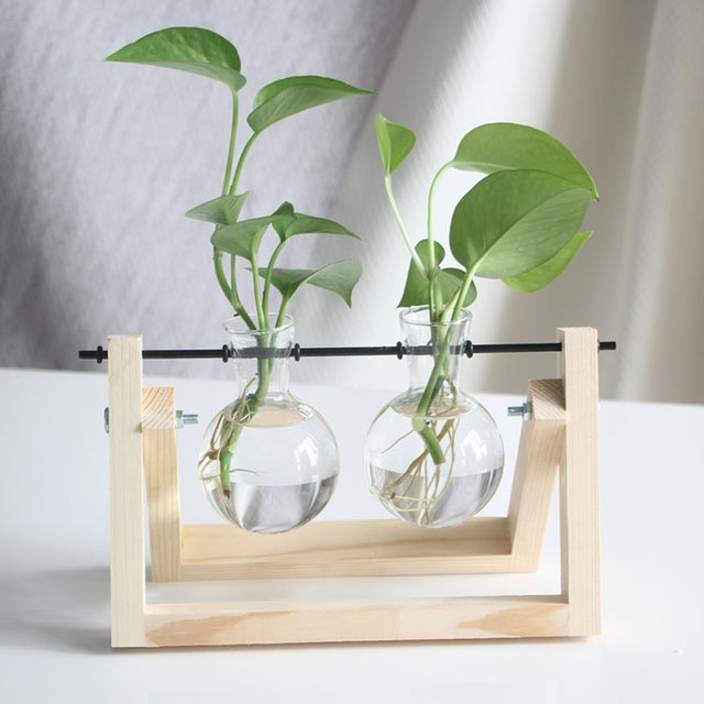 Plant Terrarium with Wooden Stand