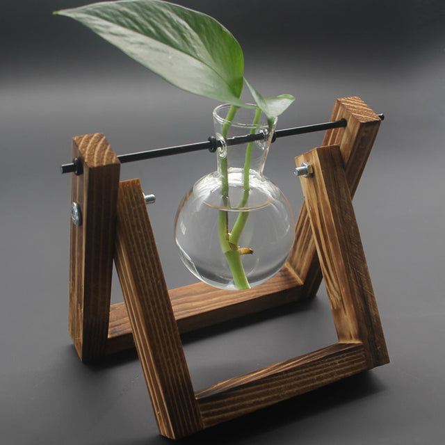 Plant Terrarium with Wooden Stand