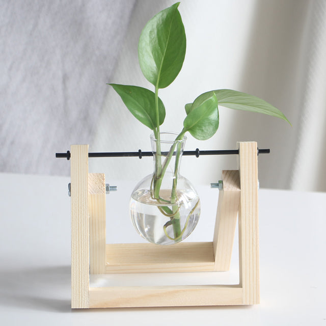 Plant Terrarium with Wooden Stand