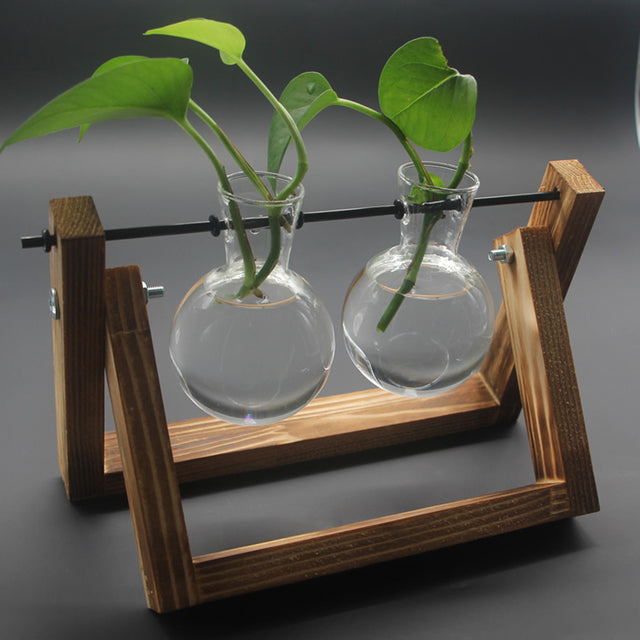 Plant Terrarium with Wooden Stand