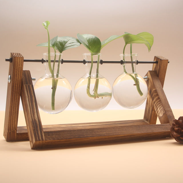 Plant Terrarium with Wooden Stand