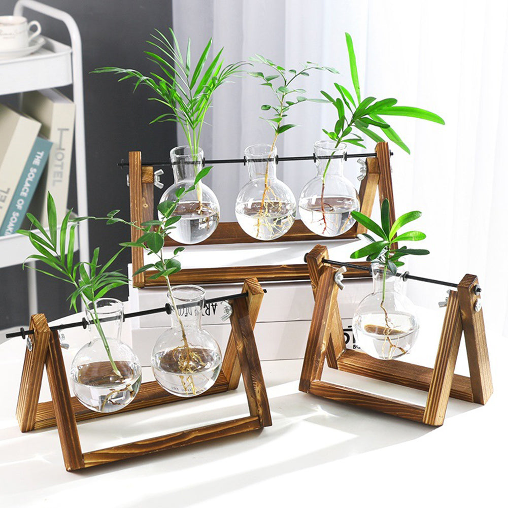 Plant Terrarium with Wooden Stand